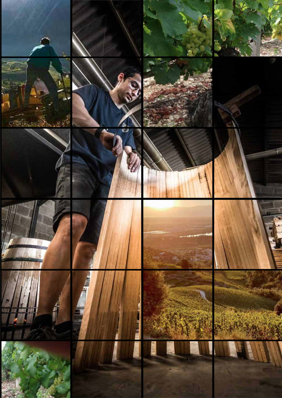 Jeantet Laurent - Objet Vigneron non identifié